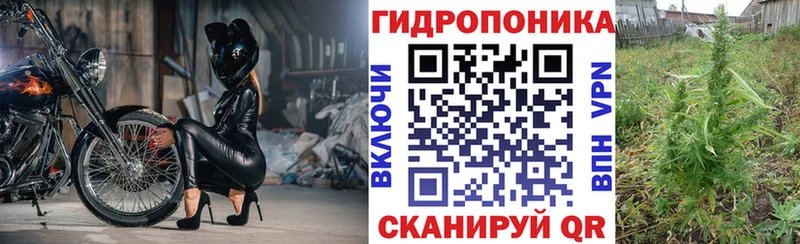 Шишки марихуана тримм Новороссийск